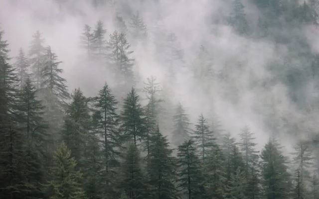 The VOID - Tirthan Valley