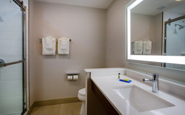Holiday Inn Express & Suites Deland South by IHG