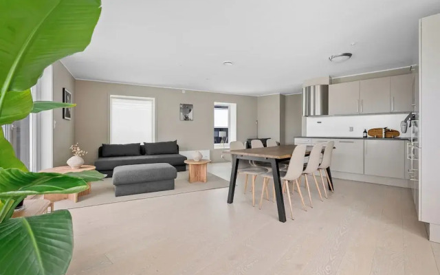 Exclusive Penthouse with Teracce