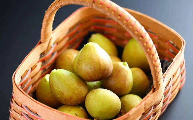 Yudanaka Ryokan Hakura