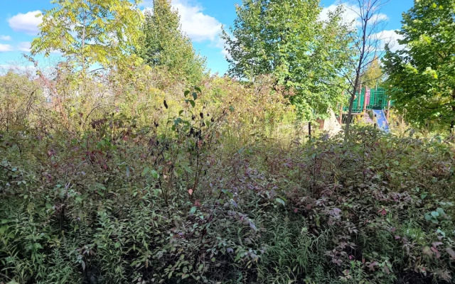 Boardwalk Homes - Executive Townhomes