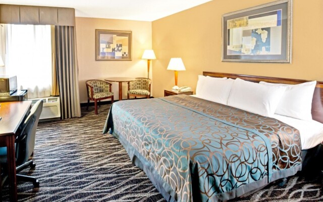 Holiday Inn Hotel Statesville-I-77 Exit 49a