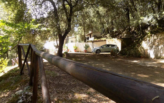 B&B Il Leccio Umbria