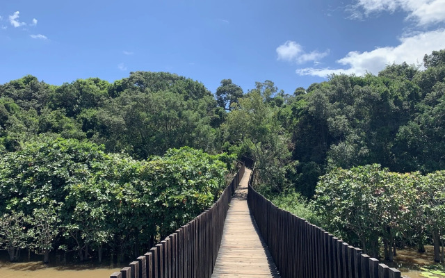 Mtunzini Forest Lodge Self Catering