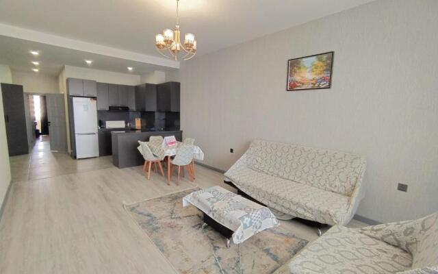 Two bedroom apartmetns near Nizami street