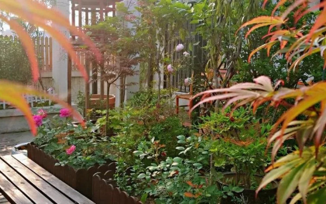 Luoyang Anximen Young Hostel