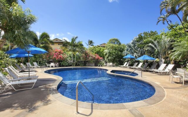Waikomo Stream Villas