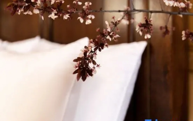 Yanggu Longbu Saqia Hostel