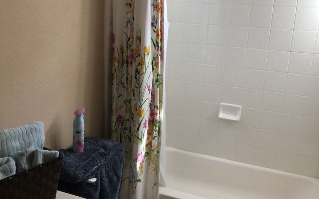 Aloha in Texas