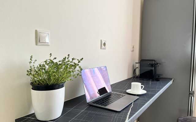 Penthouse Apartment and Studio
