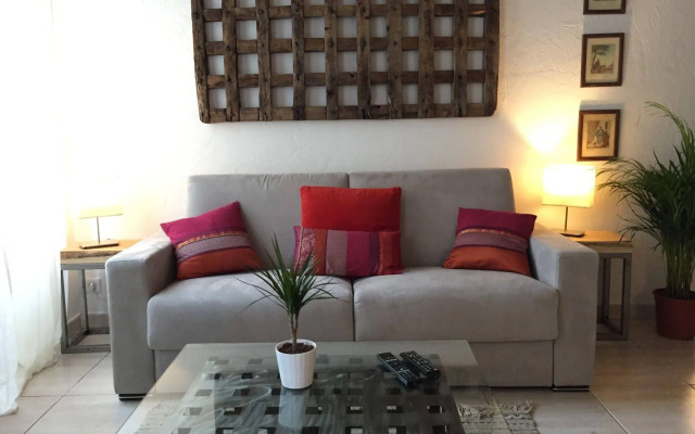 Cocoon'in Cannes