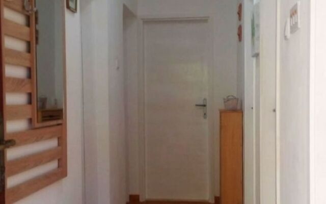 Holiday house Dragan - 50m from sea: Splitska, Island Brac