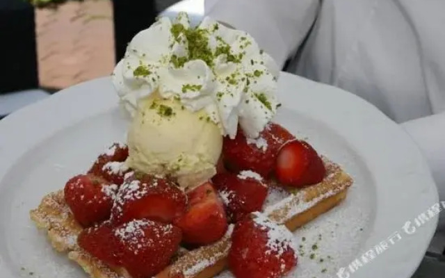 B&B Gästehaus Hallerhof