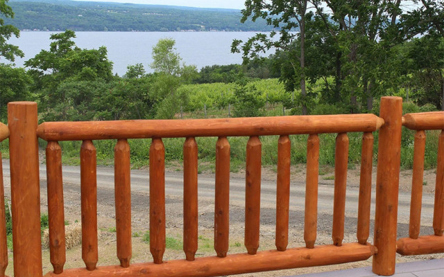 Single Island Shores