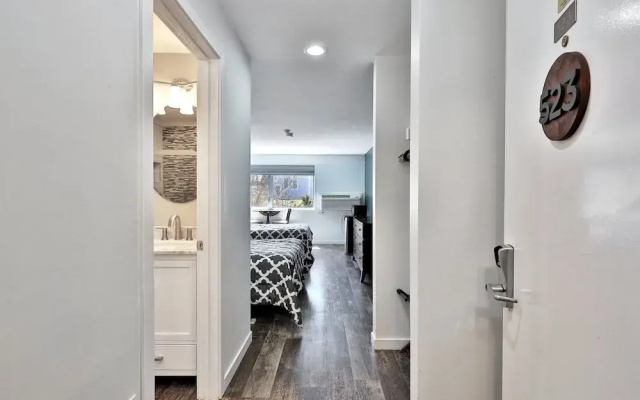 Renovated Studio #523