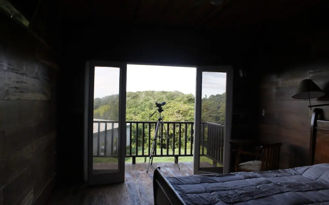 Hotel Bosque Verde Lodge