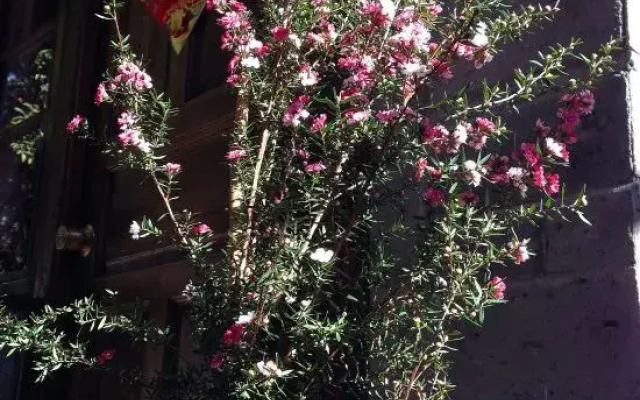 Lijiang Shijingli Boutique Inn