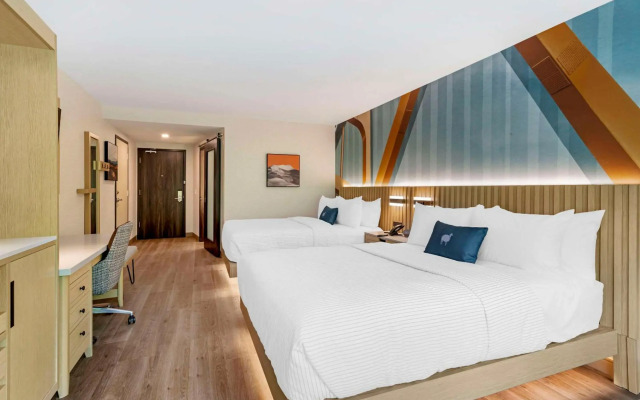 Cambria Hotel North Conway