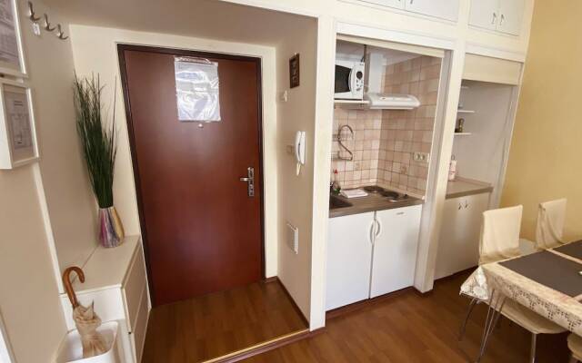 Apartment Tomasovic Old Town - One-bedroom Apartment