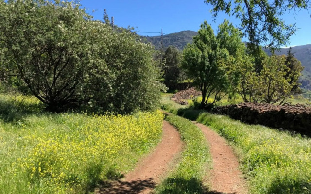 Tejeda Parque Rural el Nublo