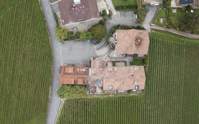 Amanthos Living Nyon