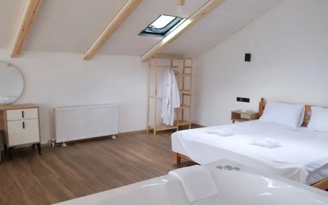 Terra Vi̇va Vi̇lla