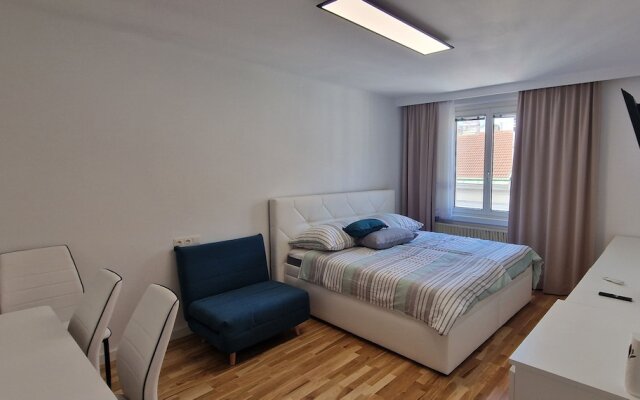 Exclusive serviced flat on Taborstraße