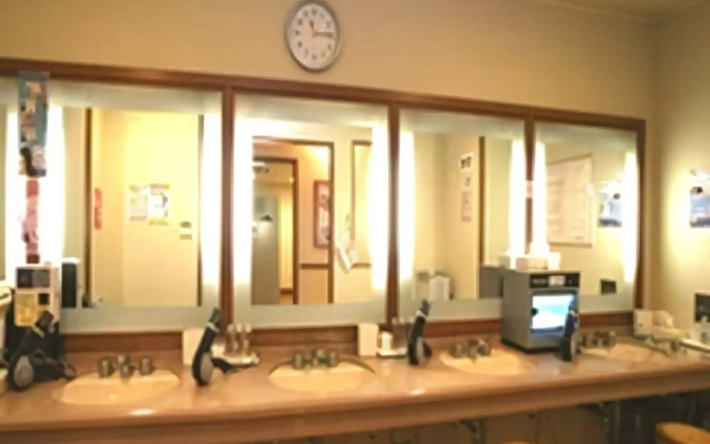 Natural Hot Springs Spa Hotel Hananoi Osaka