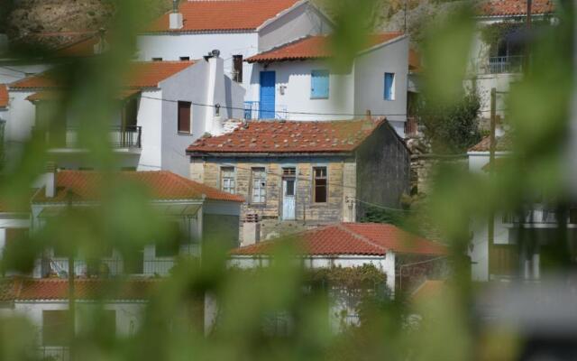 The fig tree house