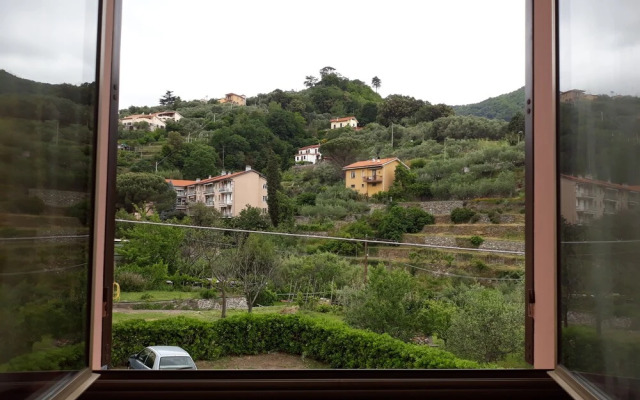 La Terra di Mingo