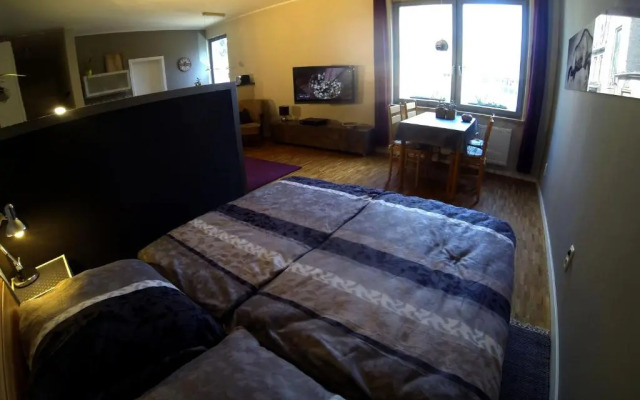 Apartment Papiermuhle24