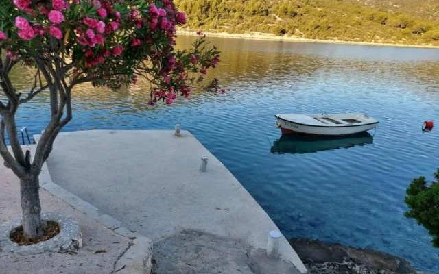 Ivica - sea View - A1