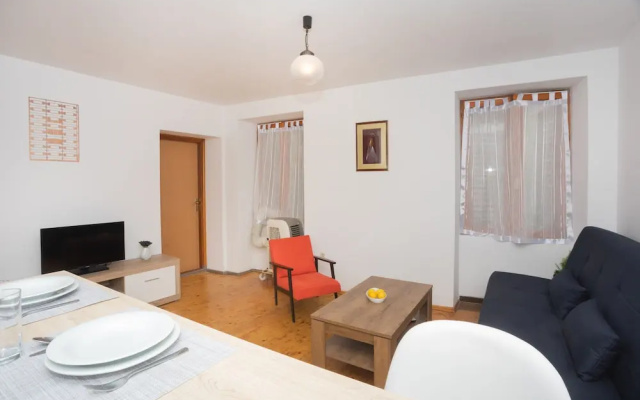 Downtown apartment Danica