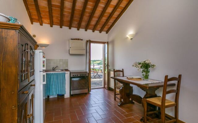 House Salustri Cinigiano 16386