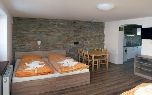 Apartments Stein Boží Dar