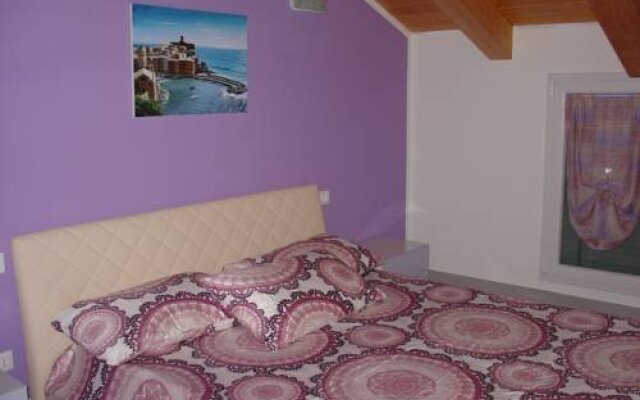 BB Suite 53