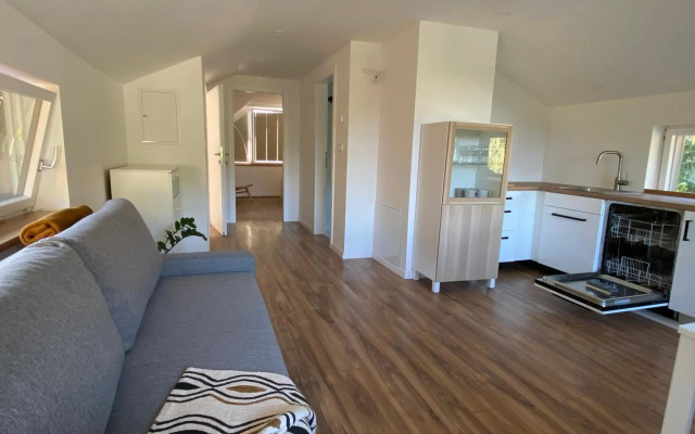 Apartment Židana marela - Attic with a View