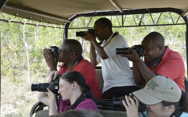 Bushman Rock Safaris