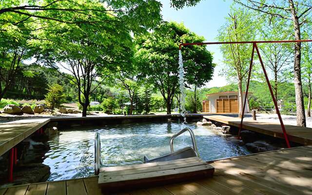 Gapyeong Pooky Glamping Pension