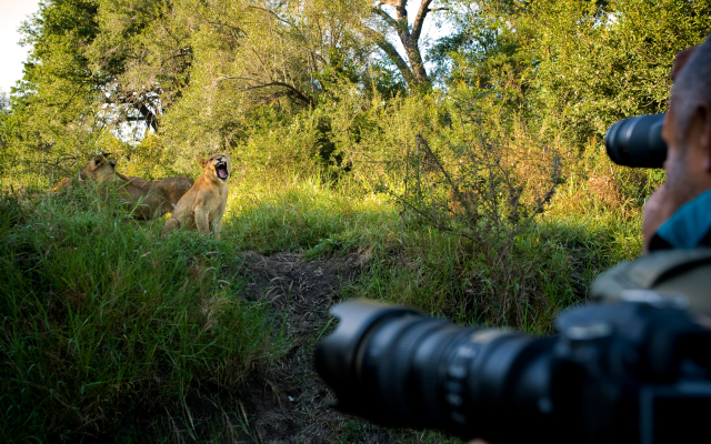 Lion Sands Narina Lodge
