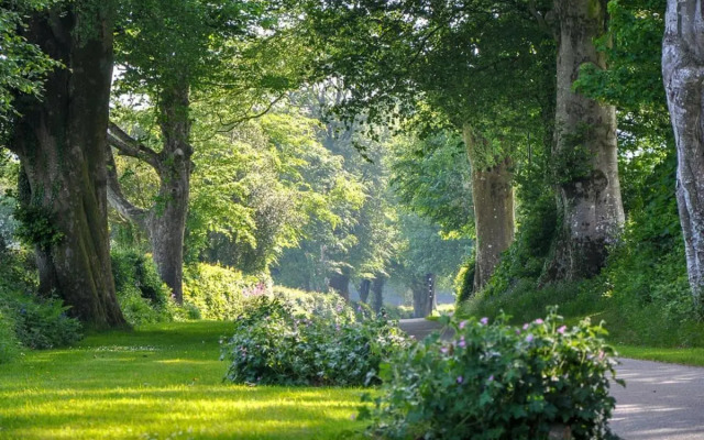 Woodovis Park