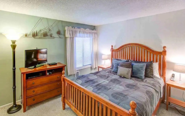 Fireside At Village #105