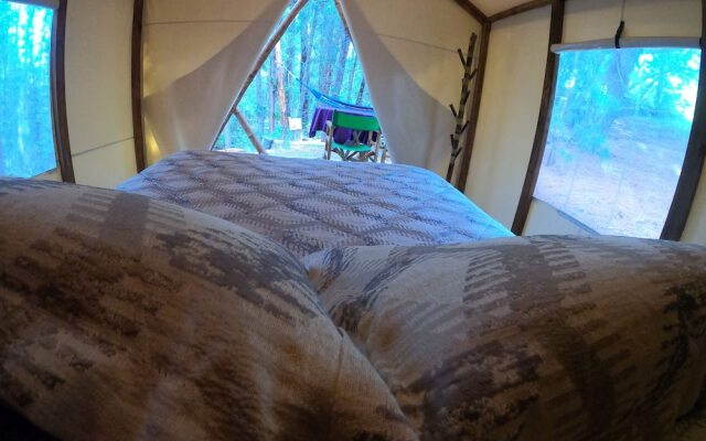 Glamping tipo safari