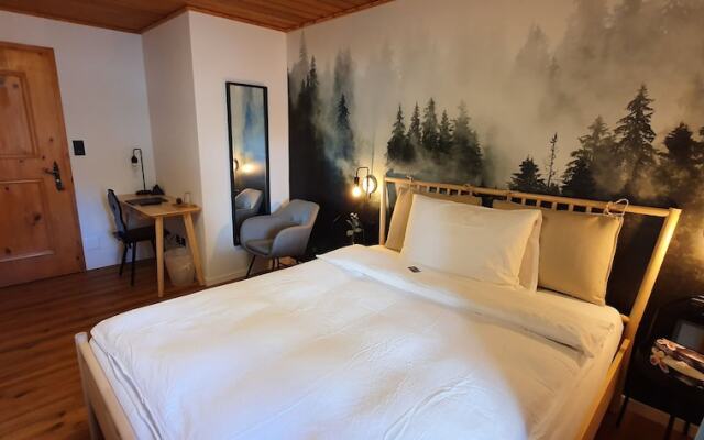 Schorta's Hotel Alvetern