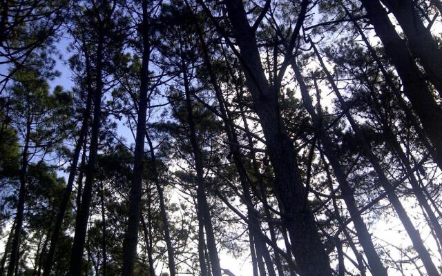 Altos Medanos - Cabañas y Club de Bosque