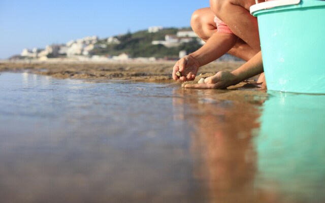 Silver Coast Holidays