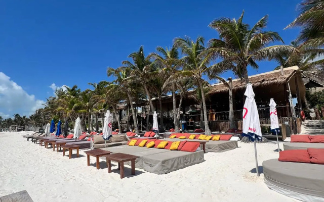 Mia Tulum Resort Beach Front