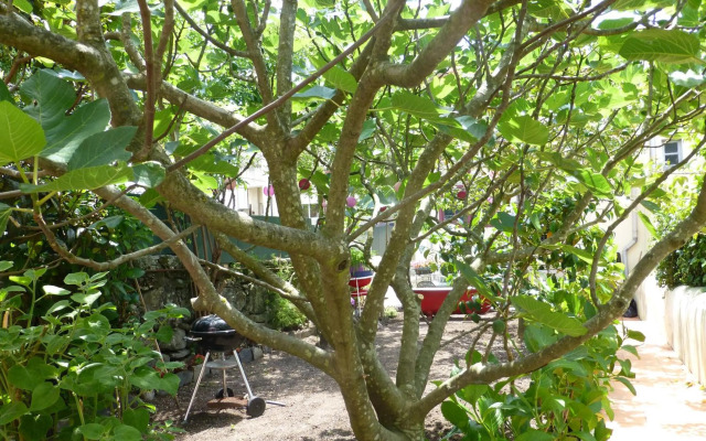 Casa Portugueza Experience