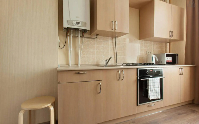 Comfortable modern apartment at Kremlin