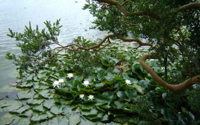 Hotel Boutique Casa Werner